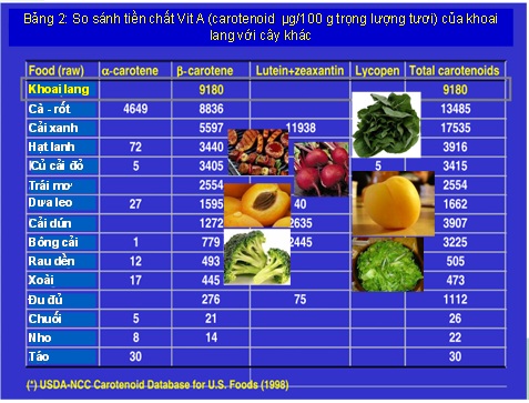 Dinh dưỡng khoai lang